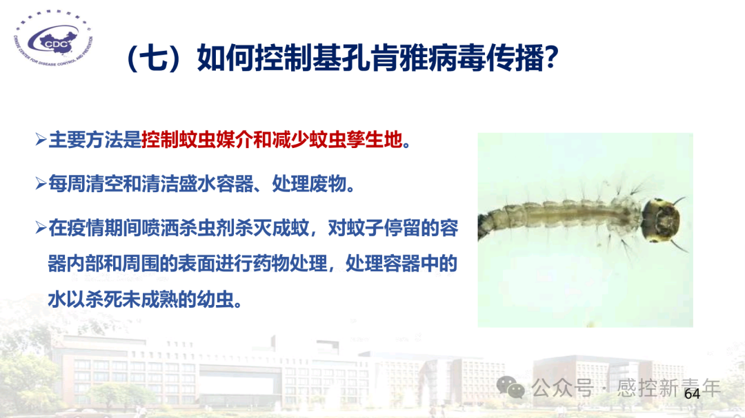 1754039506358018206.png fb061a1627414257608b436573367dbd.png